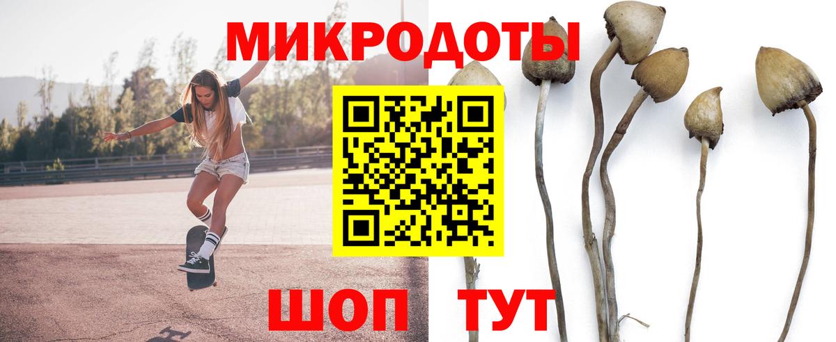 магазин  наркотиков  Галлюциногенные грибы Cubensis  Галлюциногенные грибы GOLDEN TEACHER  Вход с VPN  Красный Сулин 